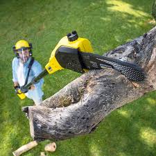 Landscape Design and Installation in Idylwood, VA